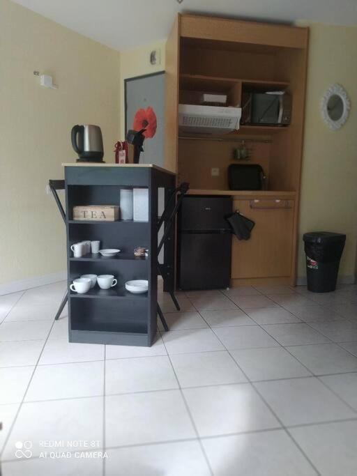 Appartement Chasseneuil Futuroscope Екстер'єр фото